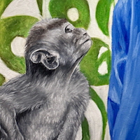 Affe-Detail1